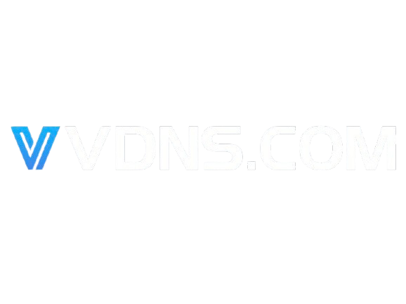 VVDNS Logo
